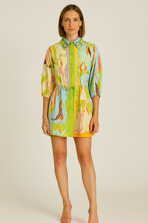 Mini Printed Dress