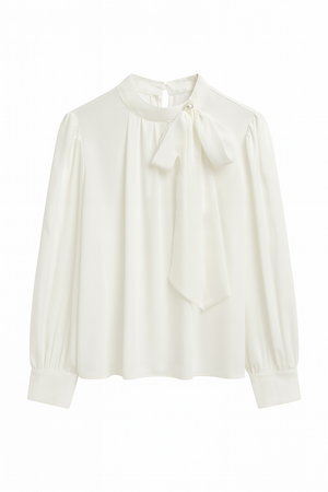 Silk Shirt